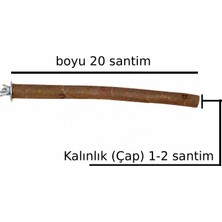 X-Perk Doğal Ağaç Papağan Kuş Tüneği Tünek Boy 20 Santim Çap 1-2 Santim