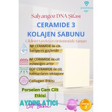 Anatolia Soap Kolajen Seramid Sabunu Cilt Bariyeri Onarıcı Sıkılaştırıcı Yaşlanma Karşıtı Nemlendiri