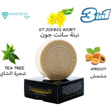 Anatolia Soap Çay Ağacı Sarı Kantaron Kayısı Sabunu Renk Eşitleyici Cilt Yenileyici Arındırıcı Bitki