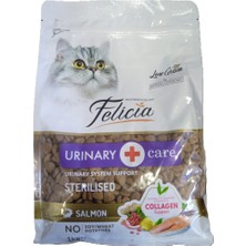 Svoria Store Kısır Somon Kedi Maması