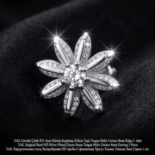 Begonia Accessories 316L Cerrahi Çelik Paslanmaz Kararmaz Alerji Yapmaz Zirkon Taşlı Figürlü Unisex Tragus Helix Küpe Piercing GC210-2