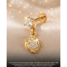 Begonia Accessories 316L Cerrahi Çelik Altın Kaplama Kararmaz Alerji Yapmaz Zirkon Taş Figür Unisex Tragus Helix Küpe Piercing AC210-21
