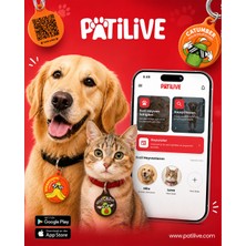 Patilive Qr Kodlu Evcil Hayvan Künyesi Holycado Kedi Köpek Isimliği
