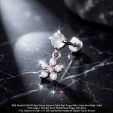 Begonia Accessories 316L Cerrahi Çelik Paslanmaz Kararmaz Alerji Yapmaz Zirkon Taşlı Figürlü Unisex Tragus Helix Küpe Piercing GC210-12