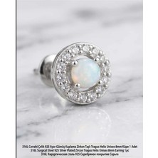 Begonia Accessories 316L Cerrahi Çelik Paslanmaz Kararmaz Alerji Yapmaz Zirkon Taşlı Figürlü Unisex Tragus Helix Küpe Piercing GC210-16