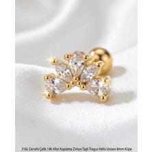 Begonia Accessories 316L Cerrahi Çelik Altın Kaplama Kararmaz Alerji Yapmaz Zirkon Taş Figür Unisex Tragus Helix Küpe Piercing AC210-19
