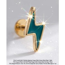 Begonia Accessories 316L Cerrahi Çelik Altın Kaplama Kararmaz Alerji Yapmaz Zirkon Taş Figür Unisex Tragus Helix Küpe Piercing AC210-26
