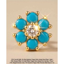 Begonia Accessories 316L Cerrahi Çelik Altın Kaplama Kararmaz Alerji Yapmaz Zirkon Taş Figür Unisex Tragus Helix Küpe Piercing AC210-32