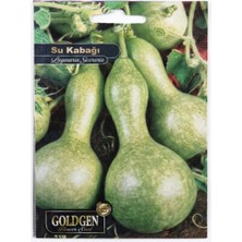Kademgiller Atalık Geleneksel Su Kabağı Tohumu Yüksek Verimli