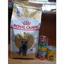 SY British Shorthair Yetişkin Kedi Maması 2kg+5 Adet Karışık Aroma Kedi Püre Konserve 85 Gram+1 Adet Tavuklu Kedi Çorbası 135 ml