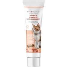 Esranın Dünyası Kahu Naturals Immunovital Malt Kedi Vitamin Takviyesi, Beta Glukan, Ekinezya, Propolis, KARAMÜRVER,100 ml