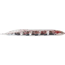 Esranın Dünyası 3 Inçlik Olta Yem, Clear Red Glitter Renk Seçeneği