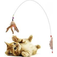 Esranın Dünyası Kedi Oltası Oyun Çıngıraklı Renkli Boncuklu ve Tüylü Kedi Oyun Oltası, 90 cm Uzunluk, Interaktif ve Eğlenceli Kedi Oyuncak, Uzun ve Esnek Sap, Çok Yönlü Evcil Hayvan Eğlence Aracı