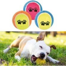 Esranın Dünyası 3'lü Renkli Desenli Tenis Topu - Kedi ve Köpek Oyuncağı