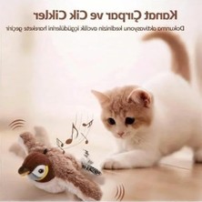 Esranın Dünyası Kedi Oyuncağı Uçan Kuş Dokunmatik, Titreşimli ve Hareketli Kuş, Iple Asılabilir, Gerçekçi Kanat Çırpma Efekti, Sesli Etkileşimli Kedi Oyuncağı
