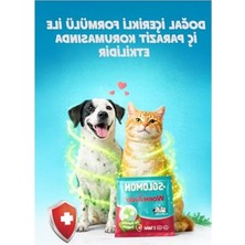 Esranın Dünyası Bitkisel Antibiyotik Tablet, 2 Adet, 4 Tablet
