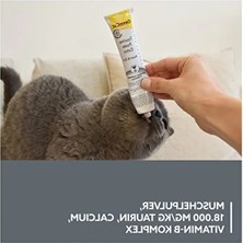 Esranın Dünyası 50 gr Taurin Içeren Kedi Macunu, Tamamlayıcı Besin