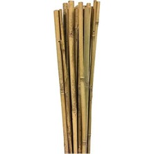 Esranın Dünyası Bambu Destek Çubuğu Seti, 10 Adet 6-8 mm Kalınlık ve 60 cm Uzunlukta