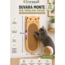 Eavrasya Kedi  Tırmalama