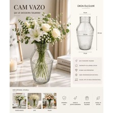 Plant Home Power Mix Çizgili Tasarım , Salon Ofis Dekorasyonu ve Çiçek Aranjmanları Için Şık Cam Vazo