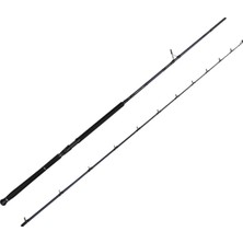 Savage Gear Defiance Sg2 305CM 60-150GR Aksiyonlu Shore Jig Olta Kamışı
