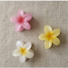 Rubibes Jewelry 3'lü Lotus Toka