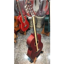 Valencia Klasik Gitar VC204TWR Kılıf Hediyeli