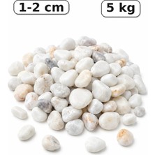 Arkhelais Akvaryum Taşı - Dolomit Taşı - Teraryum Taşı - Beyaz Renk - 5 kg - 1-2 cm