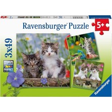 3 x 49 Parça Puzzle Tiger Babies (80465)
