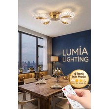 Damla Model 4"lü Gold Kumandalı 3 Renk Modu Ledli Modern Plafonyer Salon Mutfak Çocuk Yatak Odası LED Avize