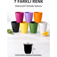 Arkhelais Saksı - Orkide Saksısı - Dekoratif Saksı - Orkide Dış Saksısı - 7 Adet - 12 Pot Üretim Saksısı