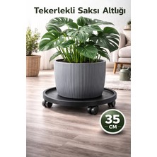 Arkhelais Saksı Altlığı Tekerlekli - Saksı, Damacana, Tüp Taşıyıcı - Tekerlekli Saksı Sehpası - 35CM