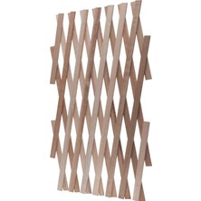 05673 Ahşap Kafes, Tırmanma Yardımcısı, Tırmanma Kafesi, Ahşap Çit, Katlanabilir, Değişken Ayarlanabilir, 90 x 180 Cm, Doğal, 05673