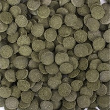 Tropical Hi Algae Discs 25 gr Açık