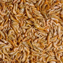 Tropical River Shrimps 25 gr Açık