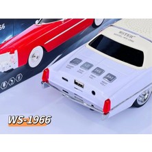 Hobibahçem Wster WS-1969BT Oto Muzik Calar