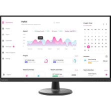 Lenovo 66FCGAC2AE D32-40 Fhd Düz Monitör 31,5 Inç