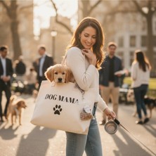 Trendy Paws Isme Özel Altın Kaplama Köpek Künye,kedi& Köpek Isimlik,köpek Isimlik Kiraz