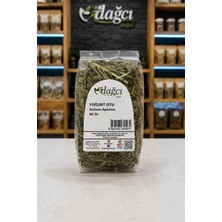 Dağcı Doğal Yoğurt Otu