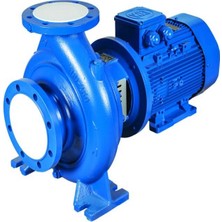 Gemaş Pumpex Cast Iron Pool Pumps Ø 252 Fan