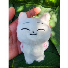 Trendikon Kpop Enhypen Peluş 10CM Anahtarlık