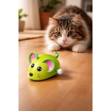 Kurmalı Fare Oyuncak Kedi Köpekler Için Çok Renkli Hareketli Zeka Geliştirici Pilsiz Interaktif Evcil Hayvan Oyuncağı
