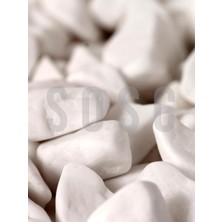 Beyaz Çakıl Taşı Dolomit Taşı Bahçe Süsü Akvaryum Taşı Dere Çakıl Taşı 1-2 cm 1 kg