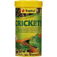 Crickets Kurutulmuş Balık Yemi 250ML 25GR