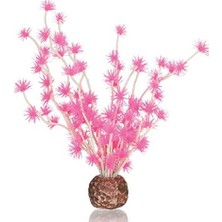 Biorb Bonsai Topu Pembe