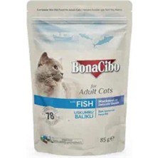 Bonacibo Soslu Uskumru-Balıklı Pouch Yetişkin Kedi Yaş Maması 85 gr x 12 Adet