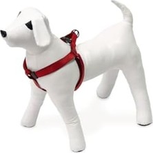 Kilitli Göğüs Tasma, Köpek, S, 25-45 Cm, Kırmızı