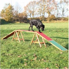 Köpek Agility(Çeviklik) Köprüsü 456X64X30CM