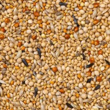 Deli Premium Foreign Finches Finch Yemi 1100GR