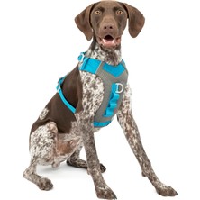 Kurgo Journey Air Köpek Koşum Takımı, Dolgulu Göğüs Kısmı ve Saplı, 11-23 kg Arası Köpekler Için, M Beden, Mavi/gri